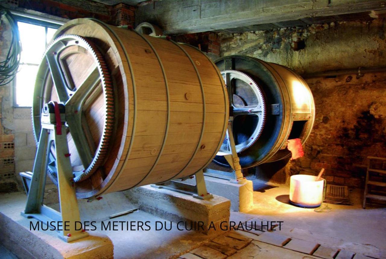 Loft Cosy - Hypercentre - Sauna - 200M2 - Wifi Graulhet 外观 照片