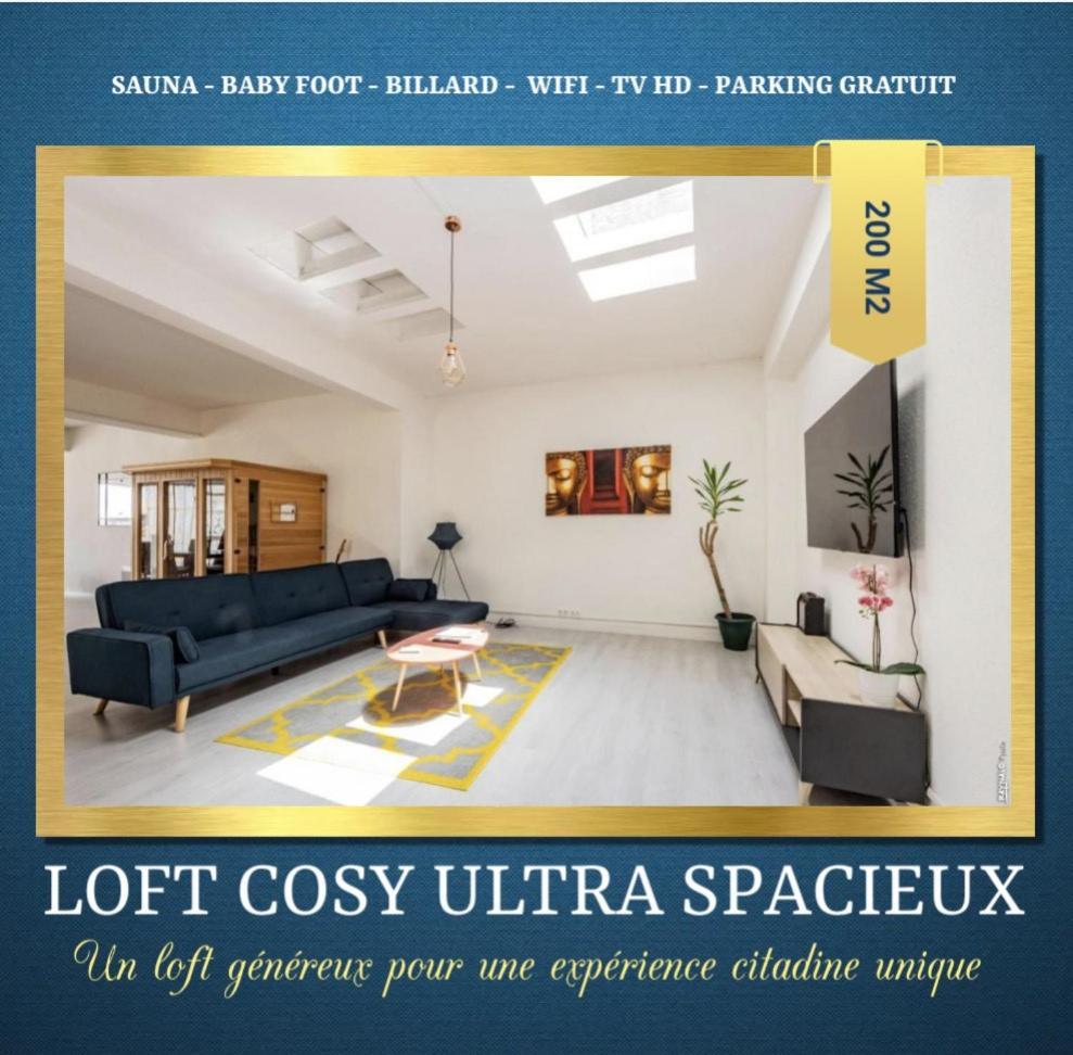 Loft Cosy - Hypercentre - Sauna - 200M2 - Wifi Graulhet 外观 照片